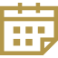 flagship-project-year-icon